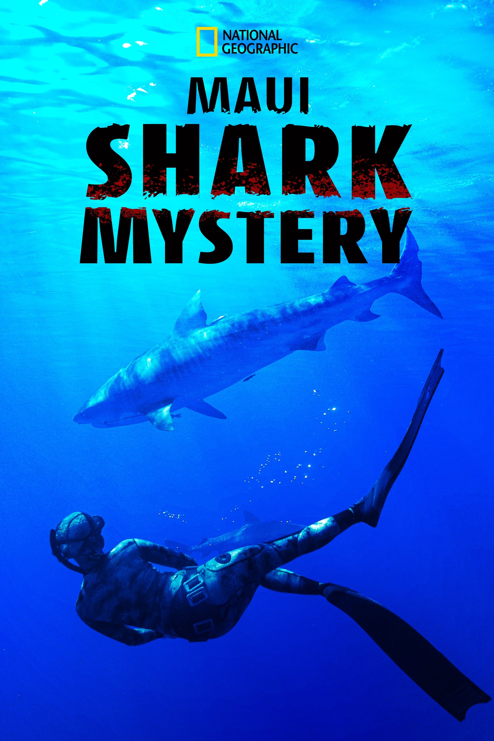 Постер Maui Shark Mystery